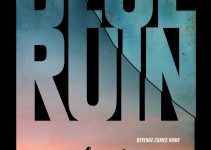 Blue Ruin (2013) – Small budget, Knocks Above Weight Class