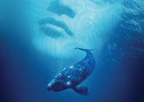 Whale Rider (2002) – Captivating, Beautiful, and Touching