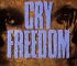 Cry Freedom (1987) – Cry for freedom, a cry for justice