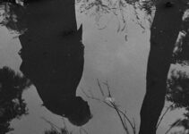 Wild Strawberries (1957) – A meditation on mortality and existentialism