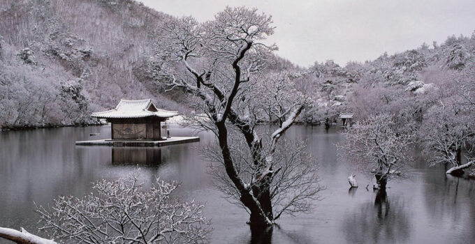 Spring, Summer, Fall, Winter…and Spring (2003) – Simple yet philosophical