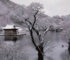 Spring, Summer, Fall, Winter…and Spring (2003) – Simple yet philosophical